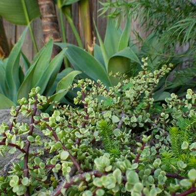 GreenBlossomDes's profile picture. Devoted to Sustainable Urban Living.
Architecture and Landscape Designer