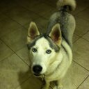 Maria Segundo - @MariaGua - Twitter