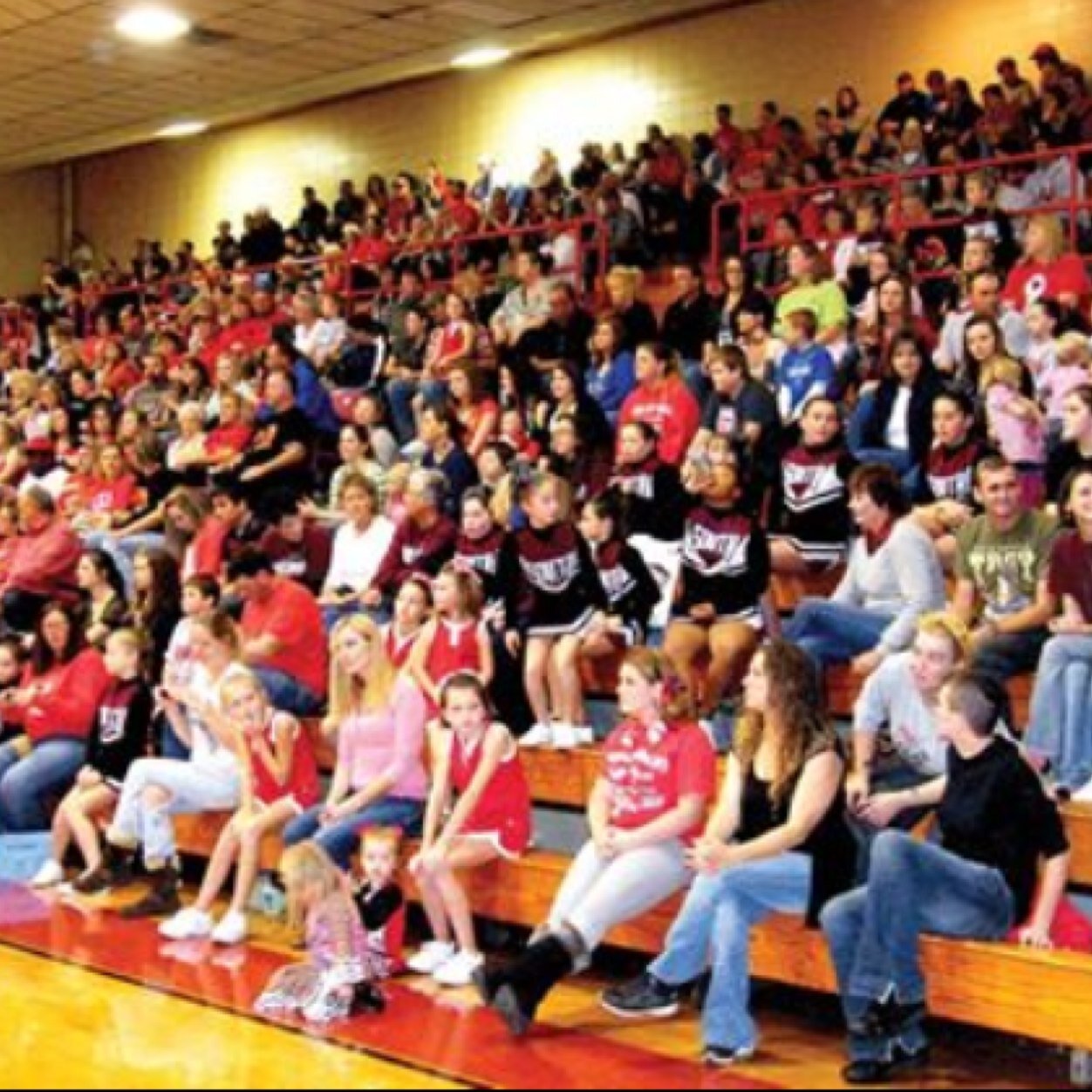 LivCoPepSec's profile picture. 