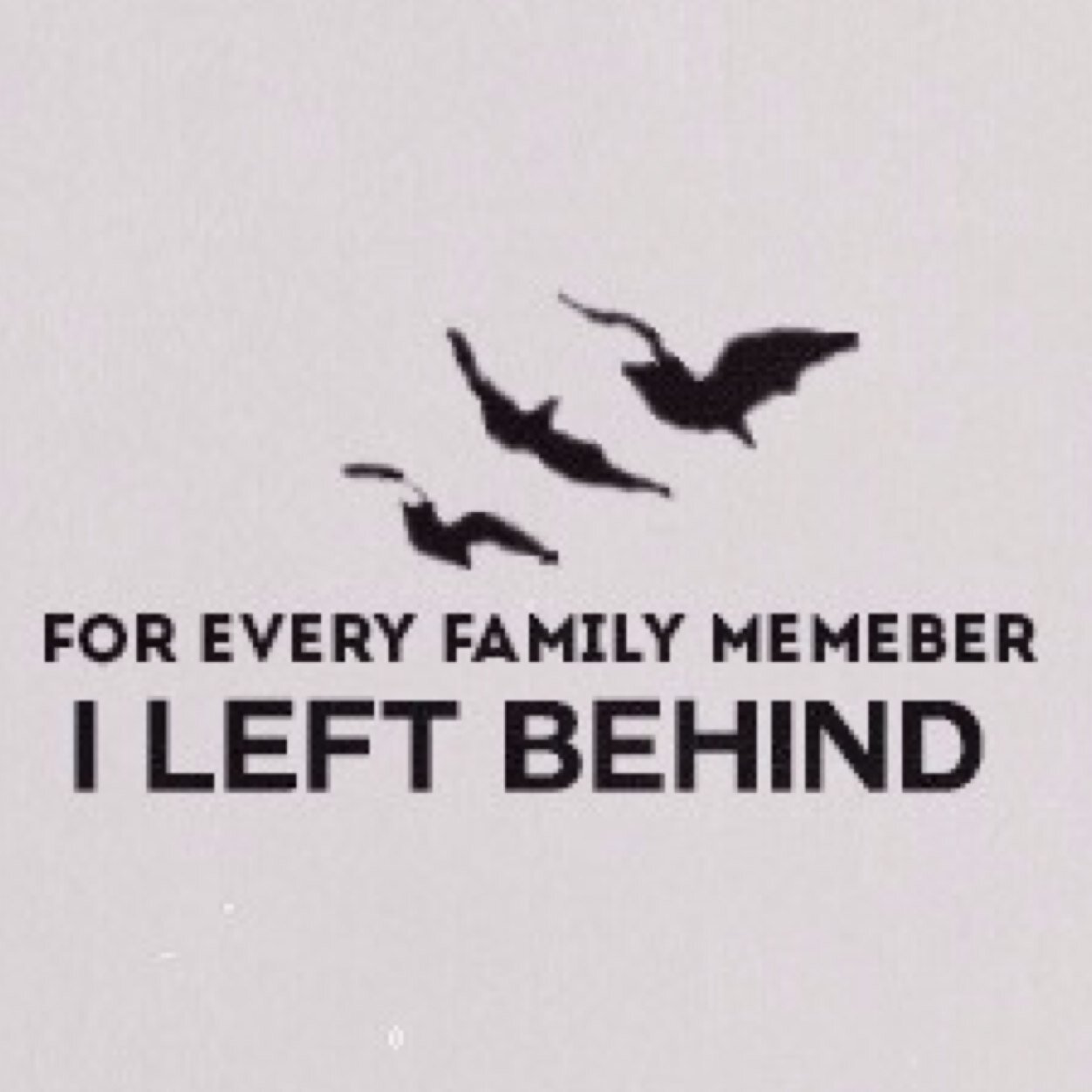 I didn't choose the divergent life, it chose me | ƒօųяƬяiʂ is an obsession❤️ always follow back (: