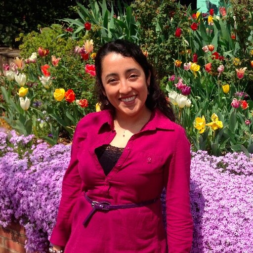 Environmental Engineer, Rain Gardens, Bioretention Systems, Nutrient Management, BMPs, Sustainability, Resource Recovery #Reclaim #LID #GI #mamaPhD