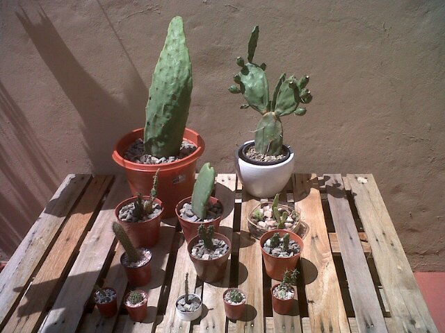 RossiMarianela's profile picture. 