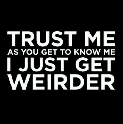 ollielef's profile picture. 