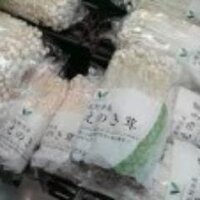 エノキダケ (@dake_enoki) 's Twitter Profile