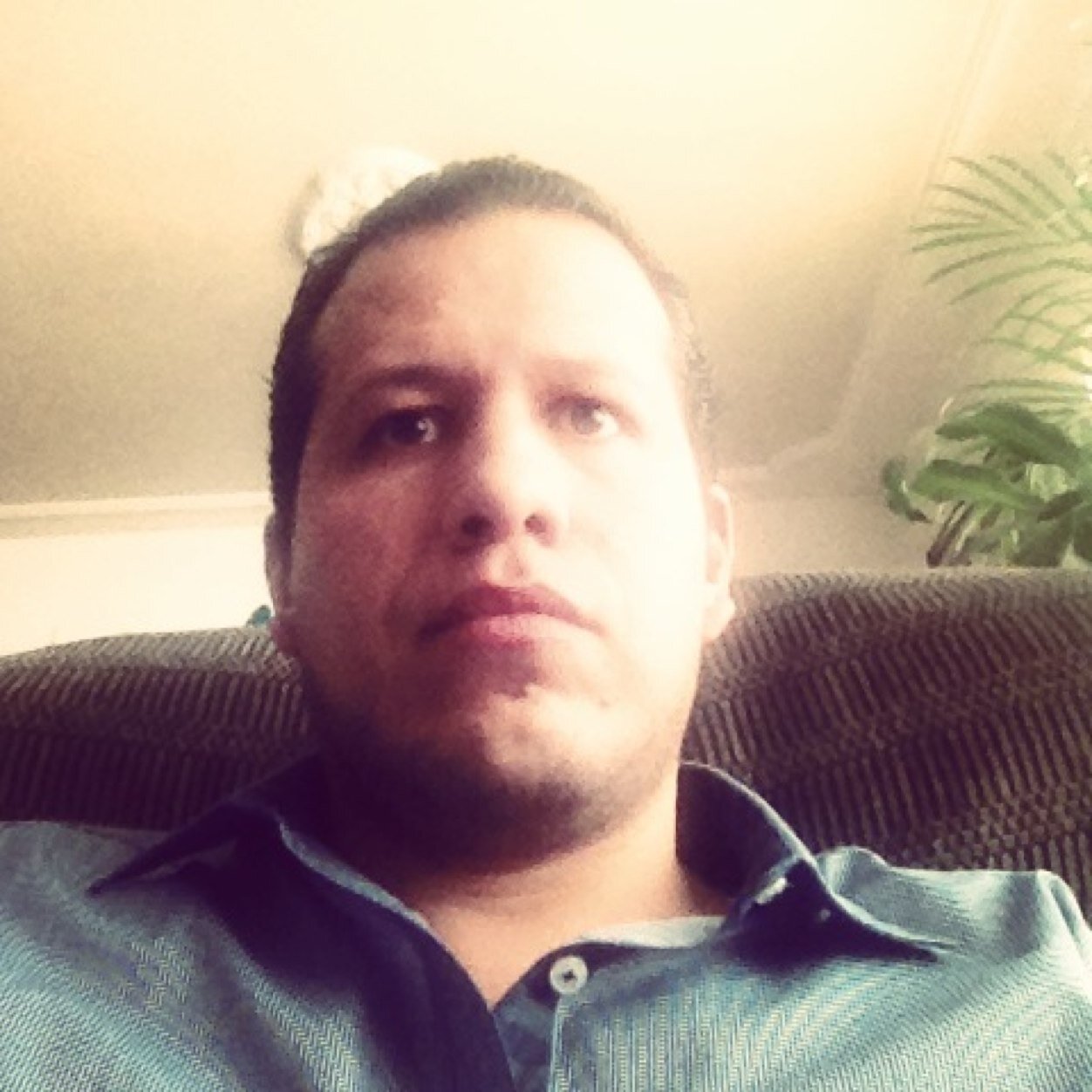 miguel_noticias's profile picture. 