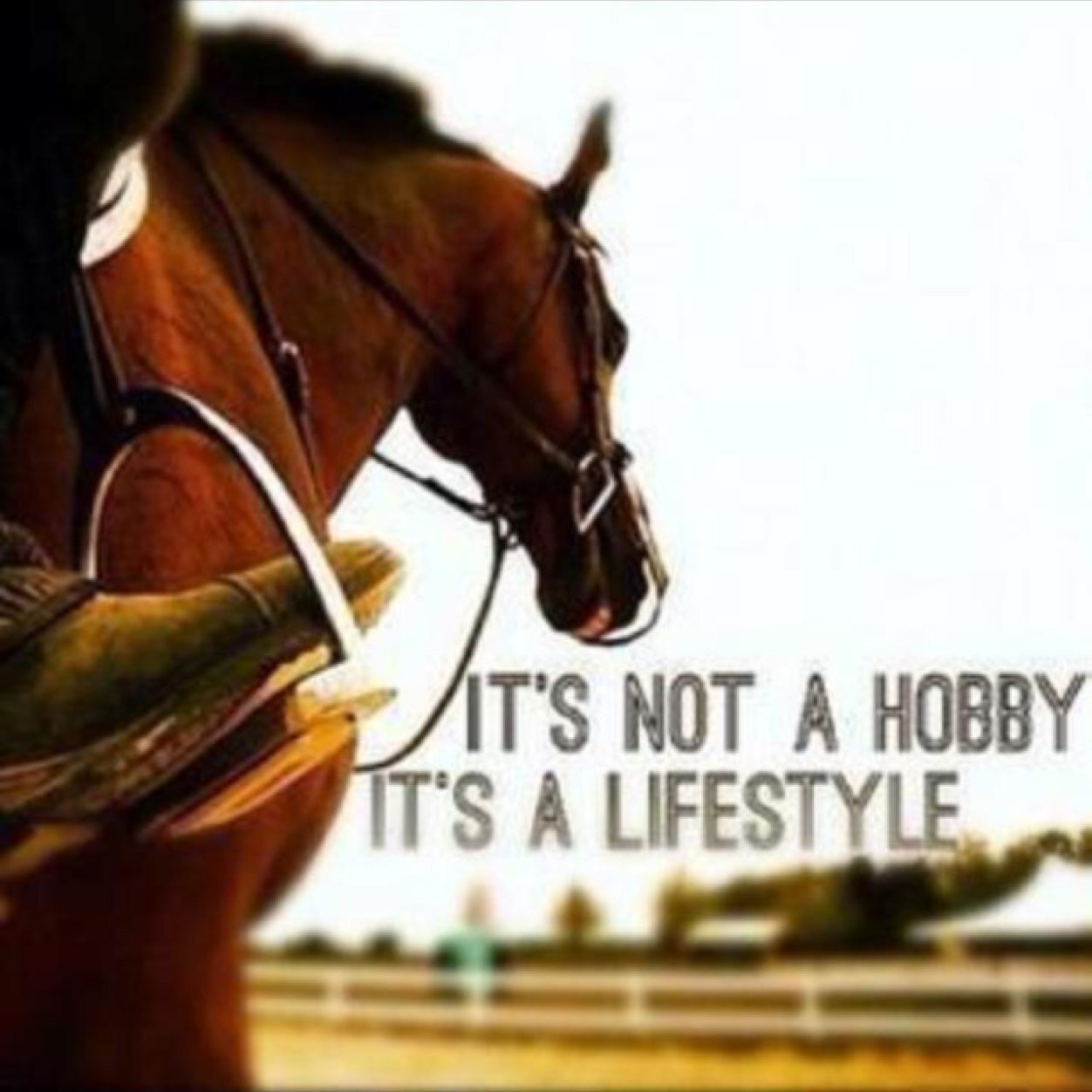 KEEP CALM and RIDE A QUARTER HORSE