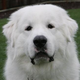 geekzer0 Profile Picture