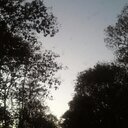 Dimas Sanchez - @Sanchezdj08 - Twitter