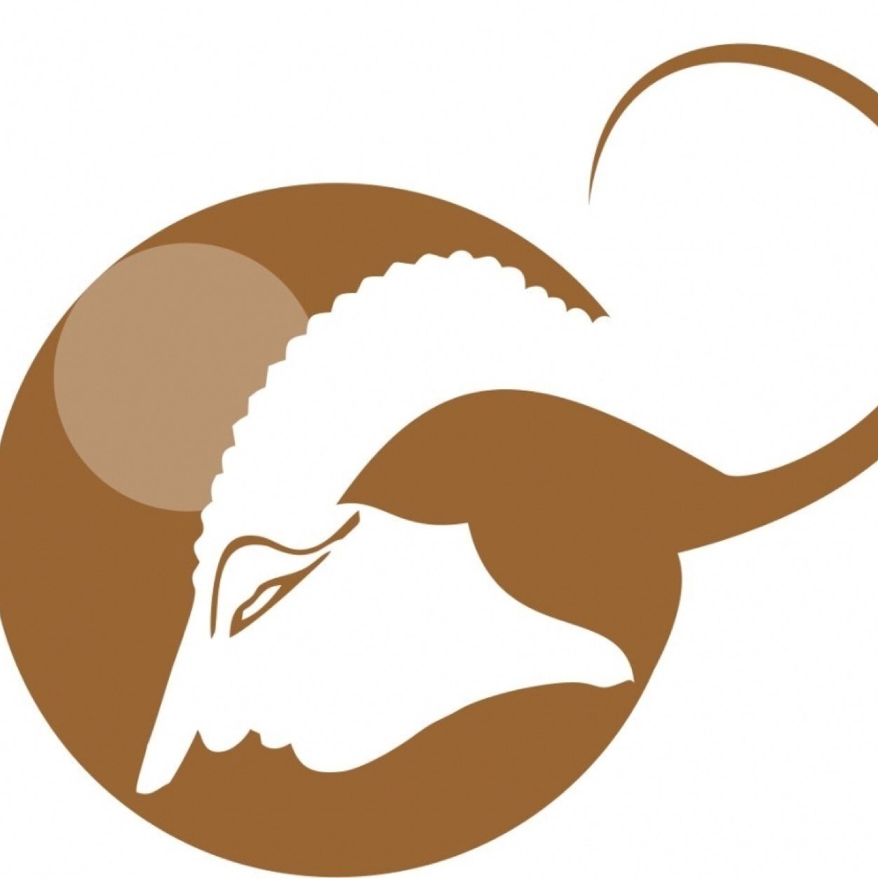 wijzbest's profile picture. sedang terlantar di CINA . . .