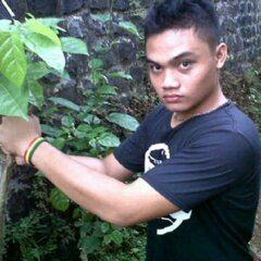 diotian's profile picture. Hidup itu di bwt woles aja♠