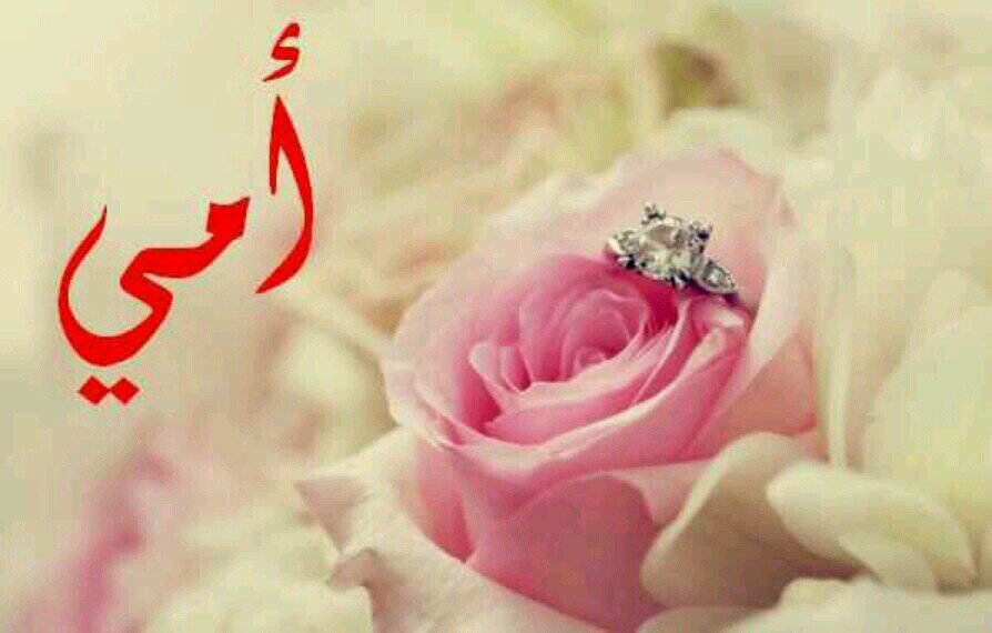 ‏على سبيل آلسعآدهہَ هنآك آروآح لم آندم يومآ على معرفتهآ ♥