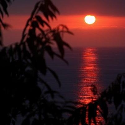 APopp1234's profile picture. German girl living in New Jersey. Love to ski, go to the beach and design my own clothes.