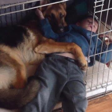 britellie7059's profile picture. If you follow me i will follow you 
the best song to describe me would be startin with me by jake owen 
and my fav is mayberry by rascal flatts