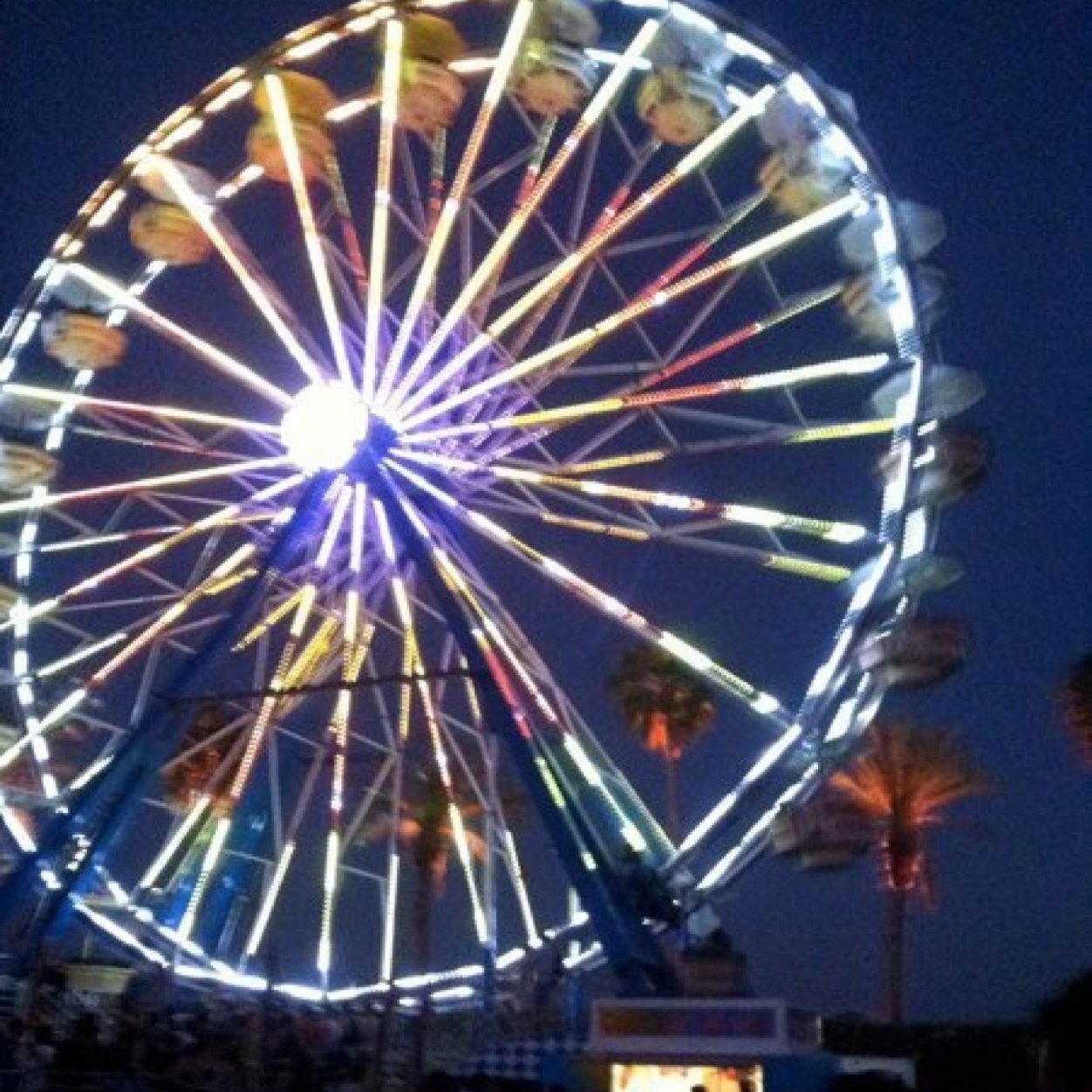 jegould's profile picture. Jenny Lewis is my spirit animal.