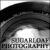 Phil Fabrizio (@photoloaf) Twitter profile photo Phil Fabrizio (@photoloaf) Twitter profile photo
