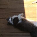 John Dickenson - @OtwayJack - Twitter