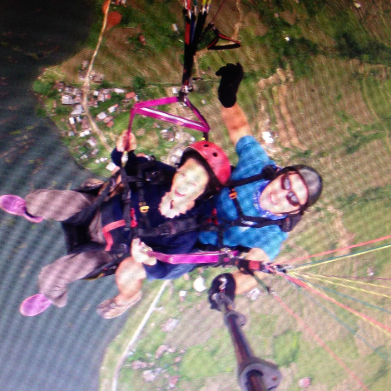 pieweizhuzhu's profile picture. 