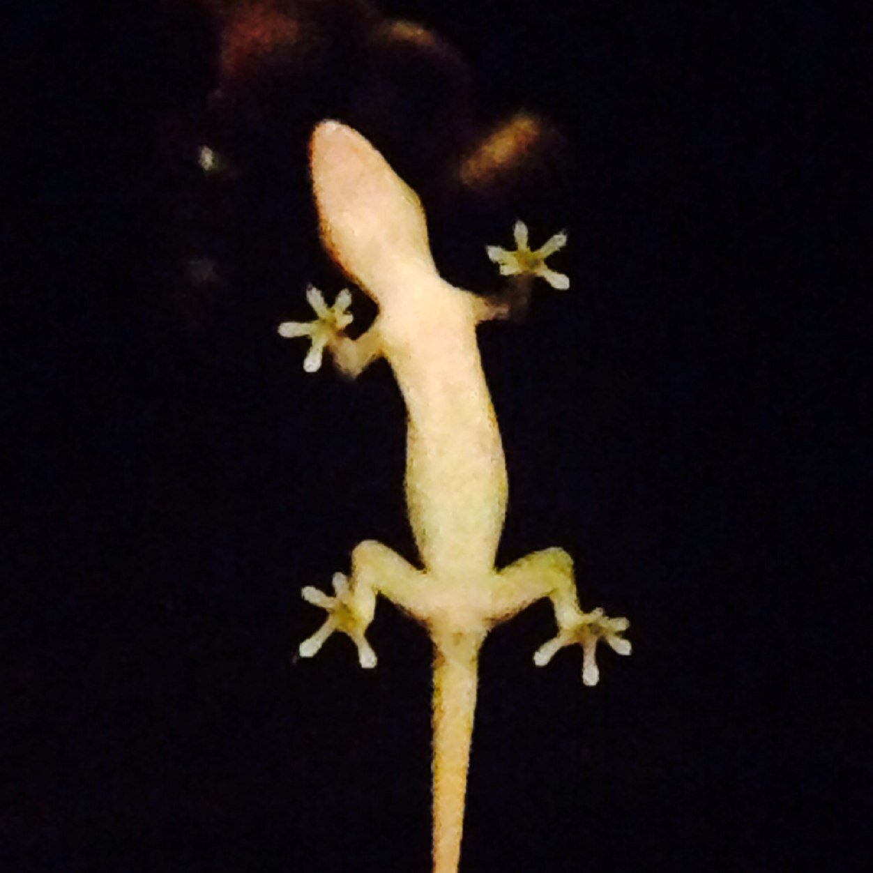 Matty_812's profile picture. 