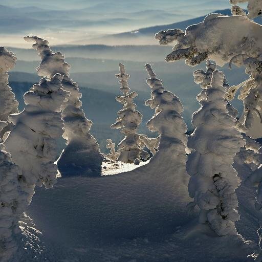 Dims1007's profile picture. 