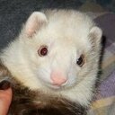 Tiffany Schulz - @misst99 - Twitter