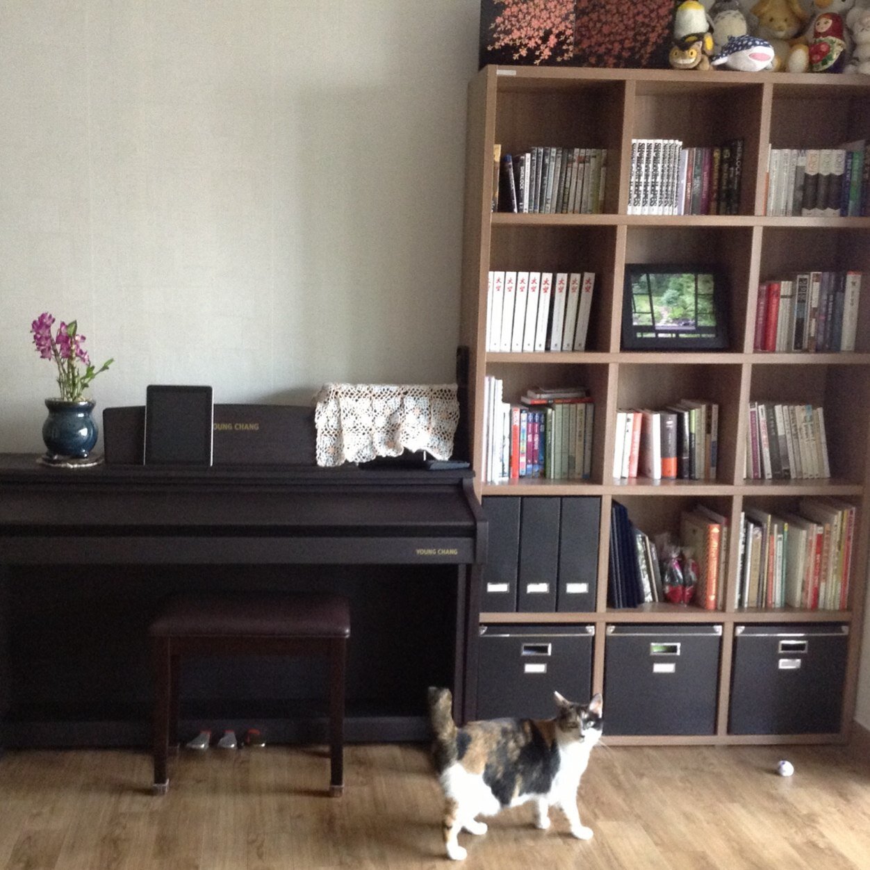 just_mentalnote's profile picture. 이제는 널 보면 아, 꿈이구나... 한다