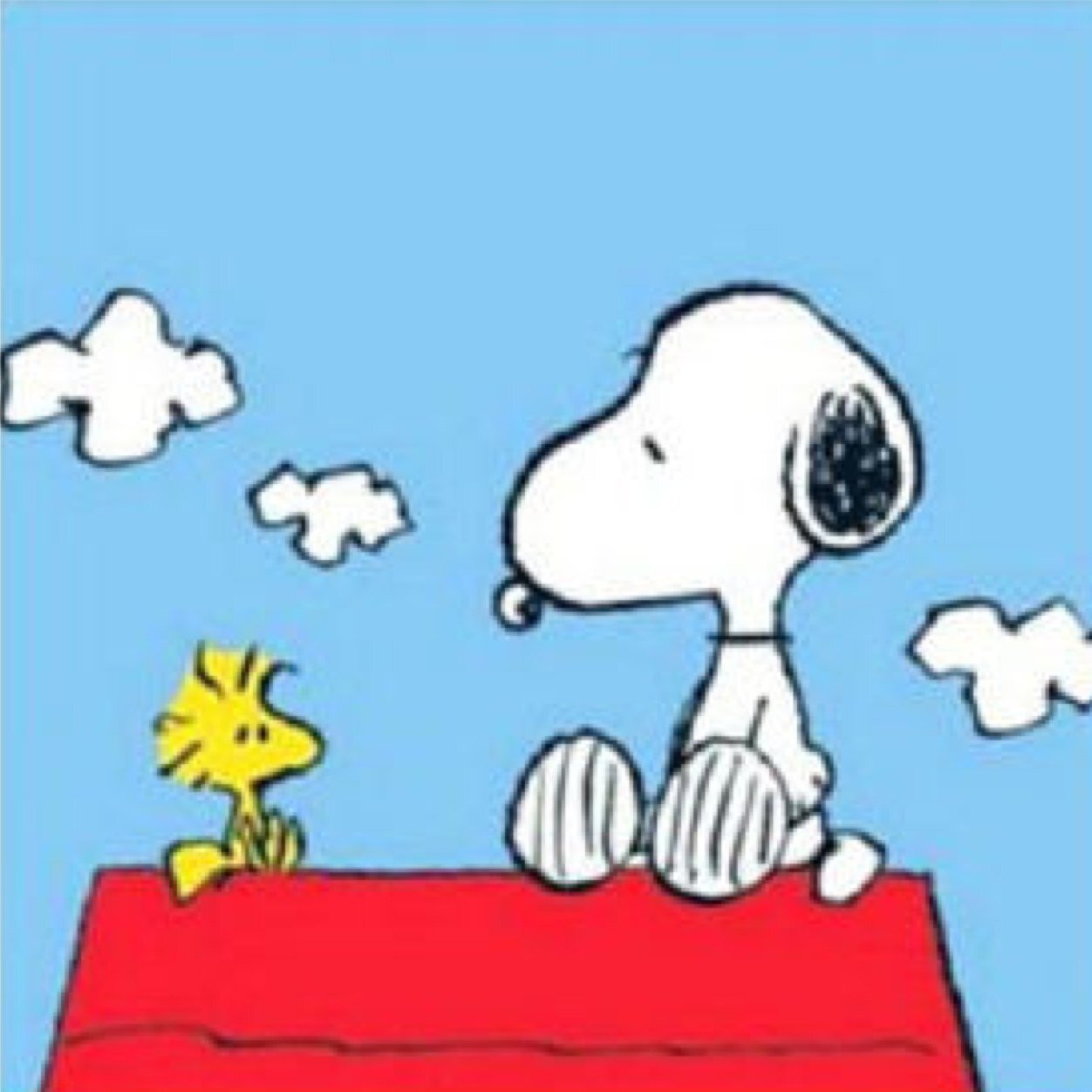 norwest1803's profile picture. まったりゆったり