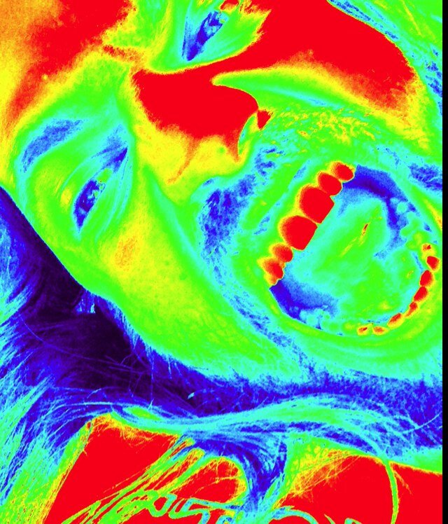 qinqon's profile picture. 