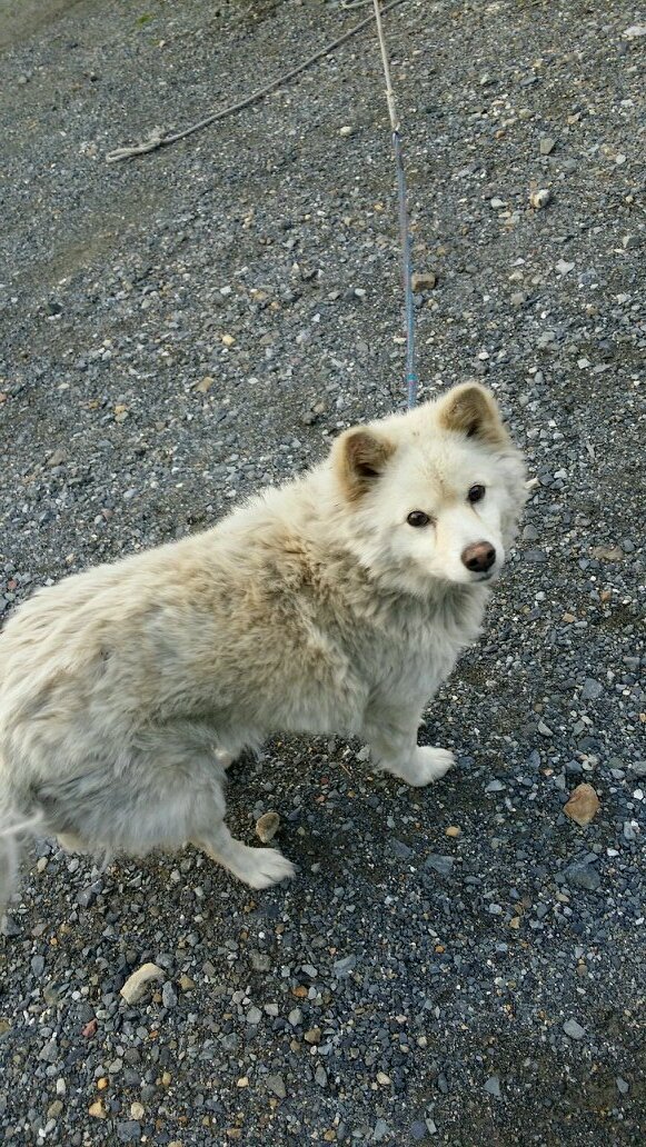 kizuna230123's profile picture. 