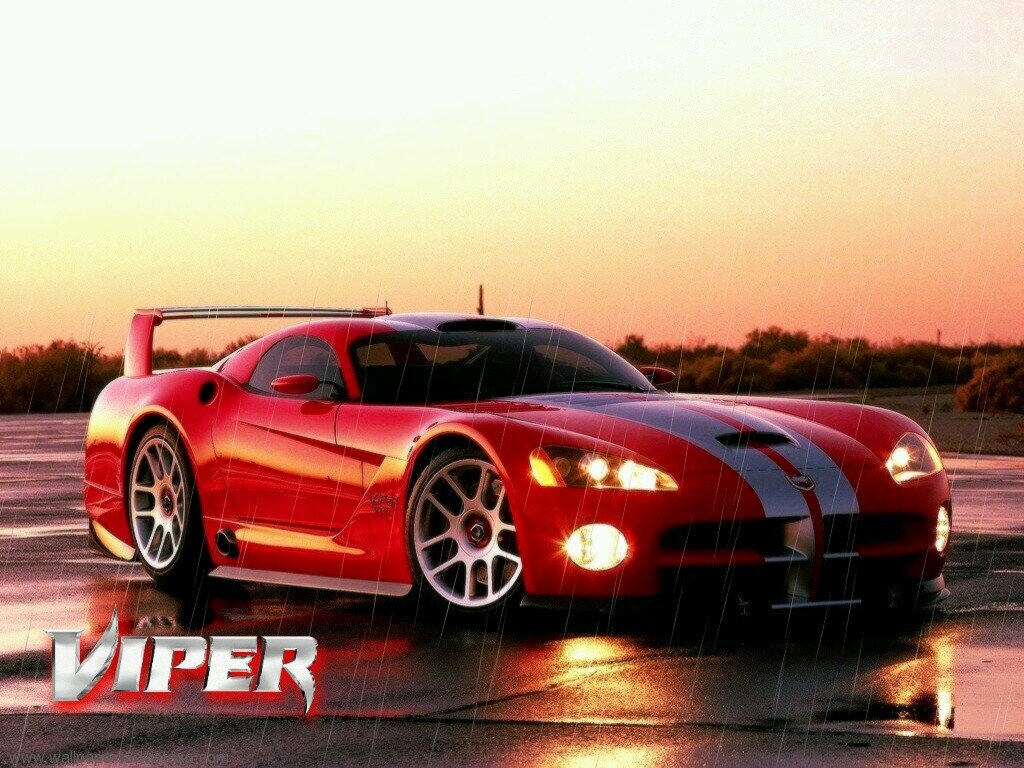 ebo_hoekstra's profile picture. Ben wie ik ben