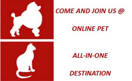 SGPets_Lovers's profile picture. A store which provides pet foods,toys and accessories, pets for adoption and pet services/information. Visit us @ http://t.co/CAgT5Yli84  :)