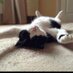 Heidibubbles40 (@heidijackson16) Twitter profile photo