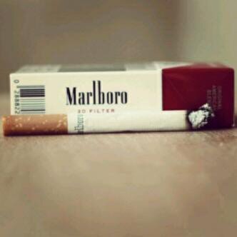 7797_ls's profile picture. ابي اضفات 2A9B86C0