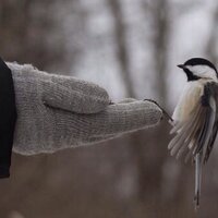 288 (@bdar2021) 's Twitter Profile