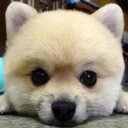 ☆totty☆ (@1043_totty) Twitter