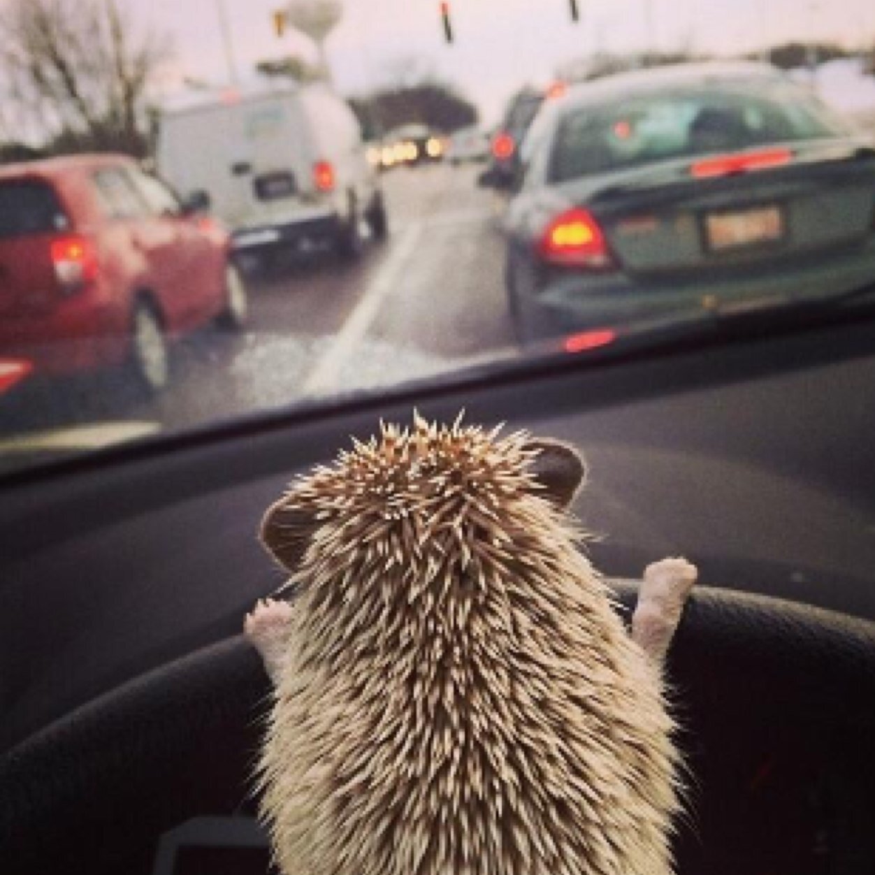 jam74656's profile picture. 