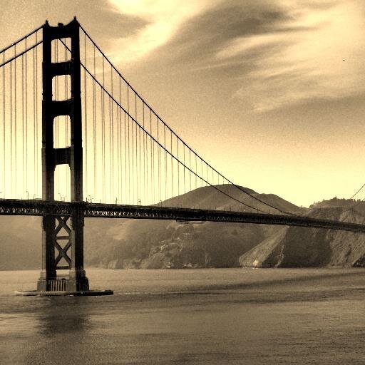 stefanopas's profile picture. 