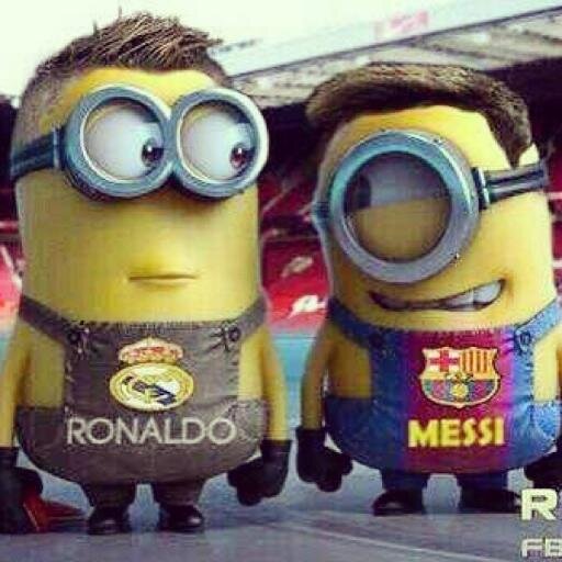 Sport fan, and love all sport and my favorite soccer team is Liverpool and favorite rugby team is South Africa