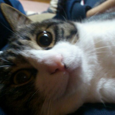 Lovewind Iria0505 え えーと網走刑務所用語トランプってのをさいさんが買ったんだけど ピンシャリ 女のオナニー 豆泥棒 性犯罪者 ツッコミ 強姦 ってのがワードでのってたのw Http T Co 60mjx75pvh