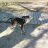 albacete19531's profile image