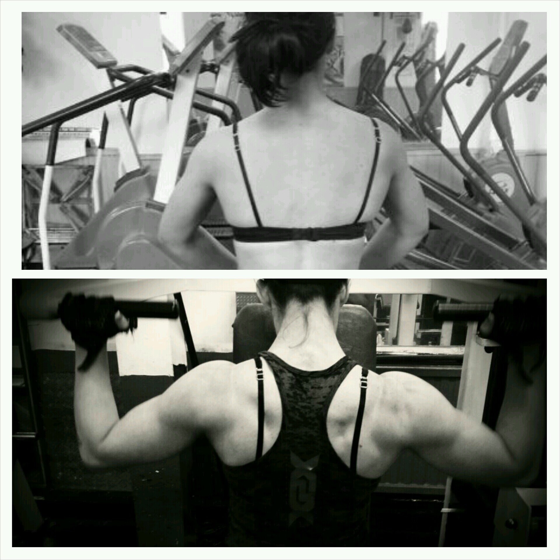 louiseamystock's profile picture. after years of illness  I found the only place in the world where I feel complete.. The gym I'm now whooping bipolars arse and fighting colitis