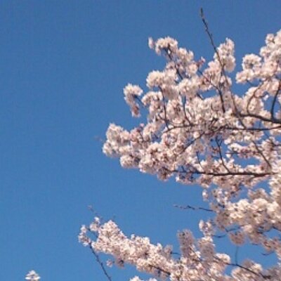 早瀬