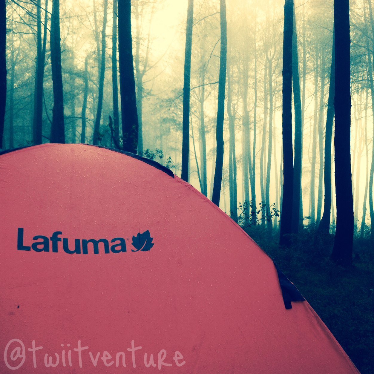 jarang ngetwiit, tapi sering ngetriip, berpetualang tanpa merusak alam, berbagi tips serta berbagi info tentang gunung. lestari alam kita semua! twitterventure.