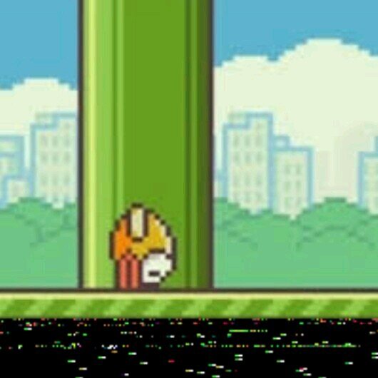 ciara_munnelly's profile picture. I'm a hater of school and teachers by day, but by night I'm a wild puma. True directioner.