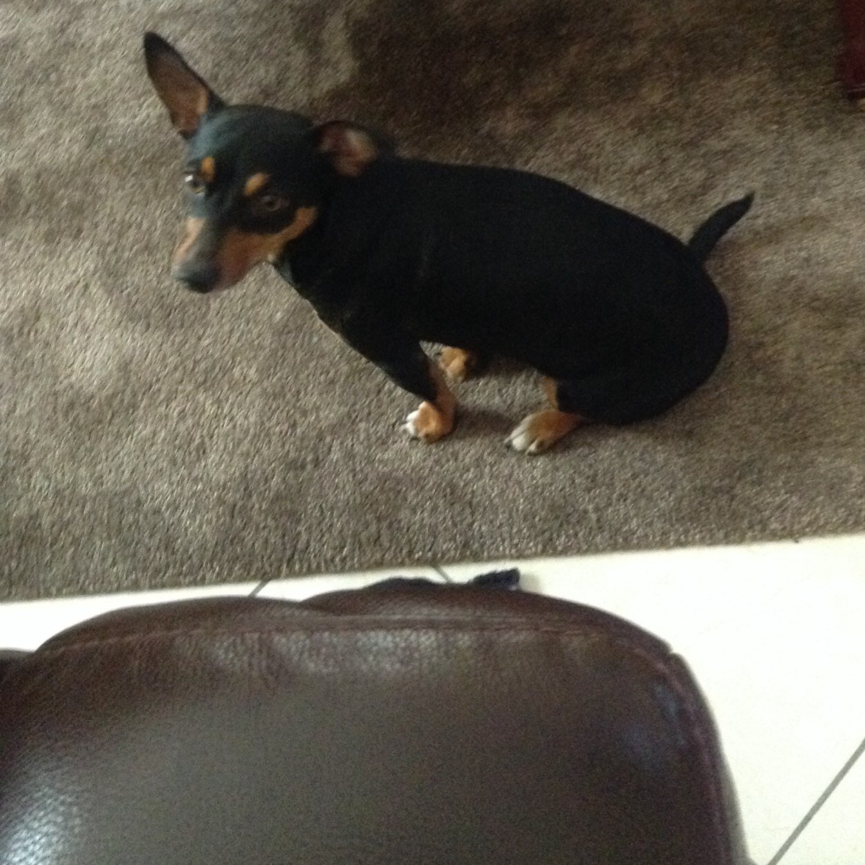 ProtimeDan's profile picture. 