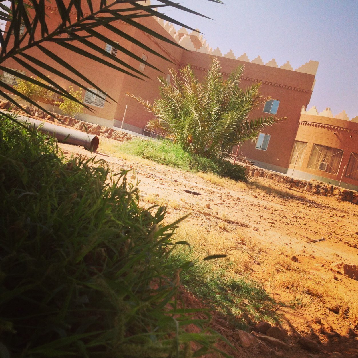 ديني ووطني أولًا 🇸🇦💚 سعودية .... سديراوية....♥ خريجة جامعة الإمام محمد بن سعود الإسلامية، كلية أصول الدين (القرآن الكريم، السنة النبوية، العقيدة) ♥