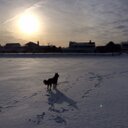 Chris Capriotti - @CCapriotti - Twitter