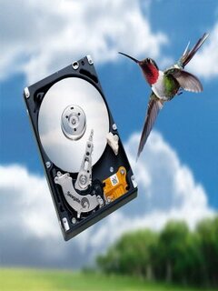 computer information