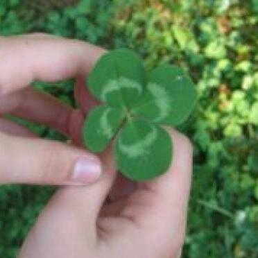 ligiahoy's profile picture. 