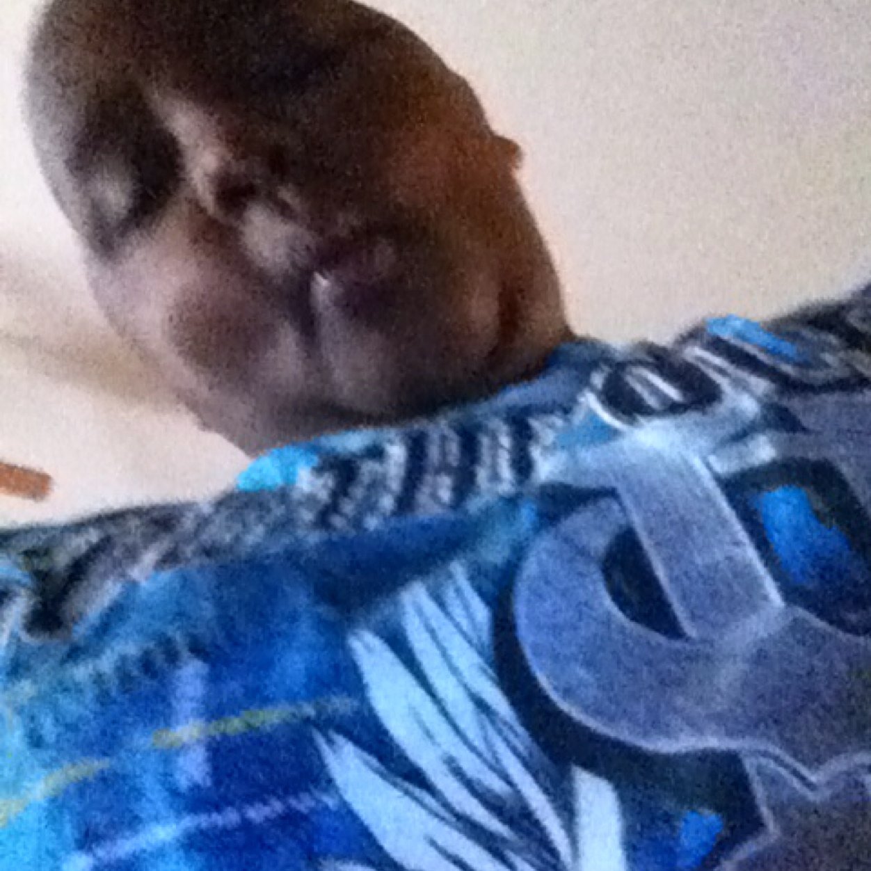 gailpresonb's profile picture. 