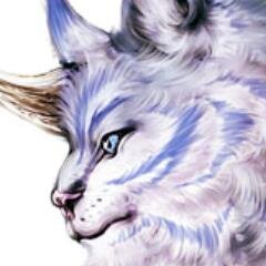 こさぎさんのプロフィール画像